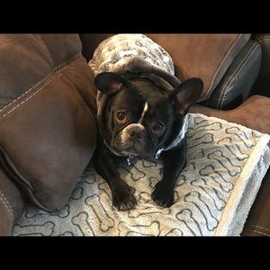 Meet your Posher, Carmen